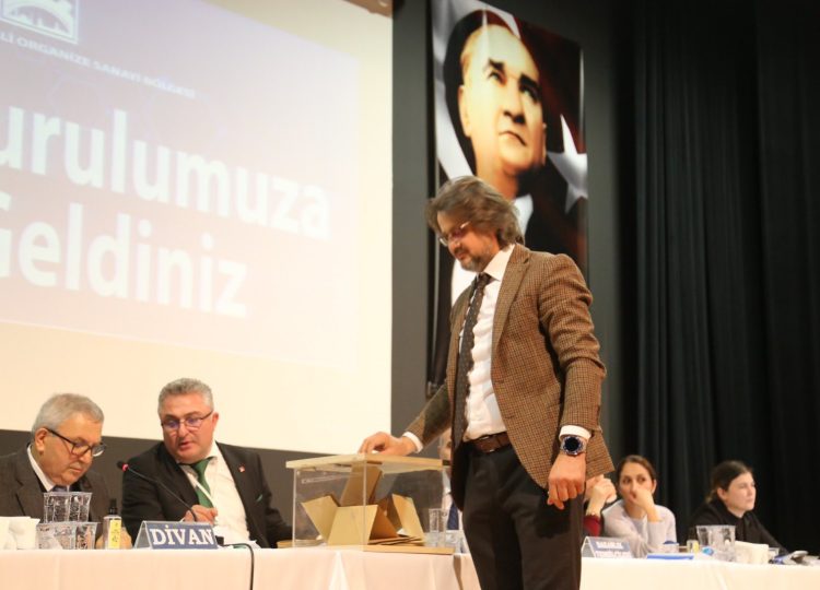 17_613198494_3368995866596953_5740583215284596584_n